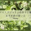 スイートマジョラム（葉と花）