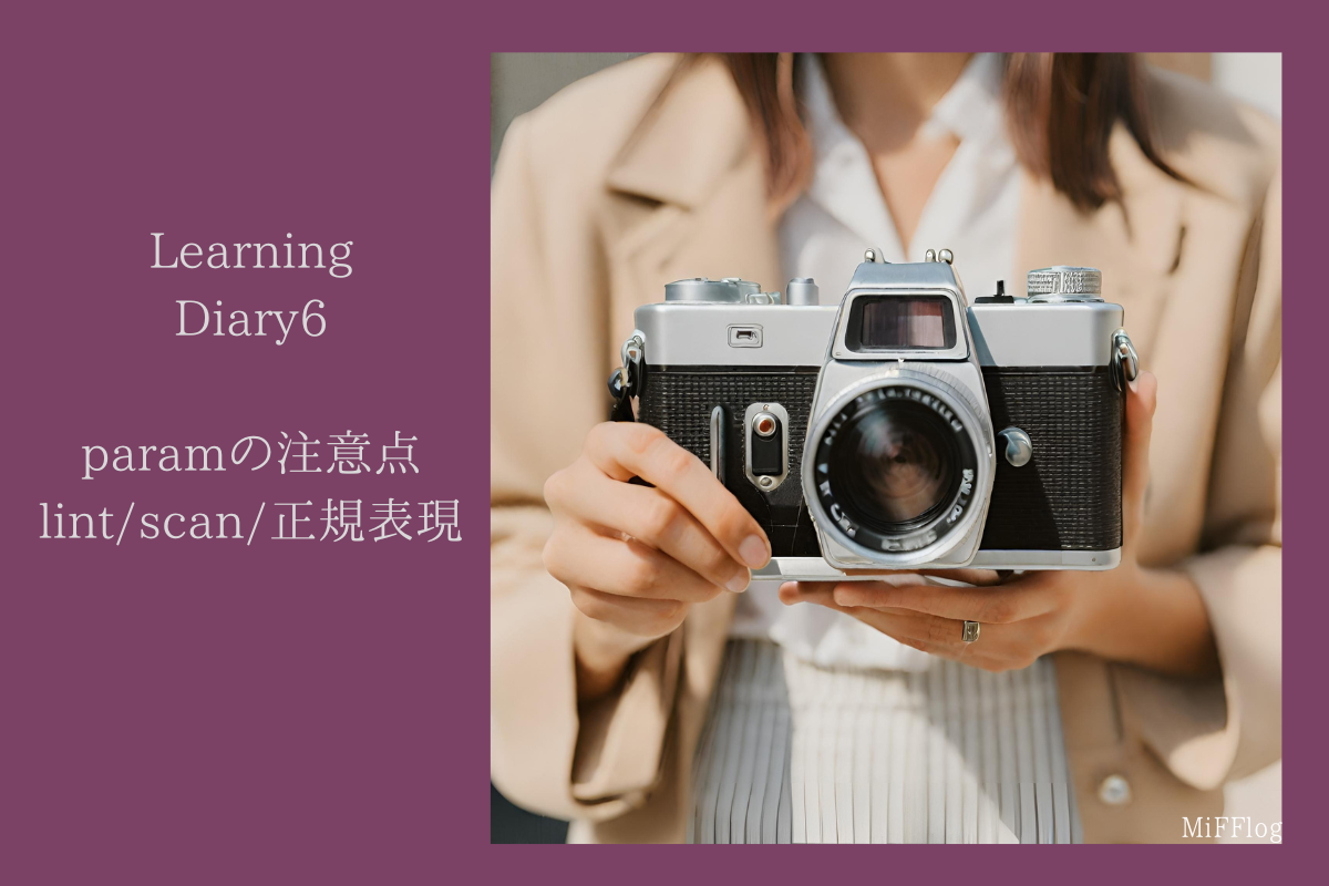 Learning Diary6 paramの注意点と lint/scan/正規表現