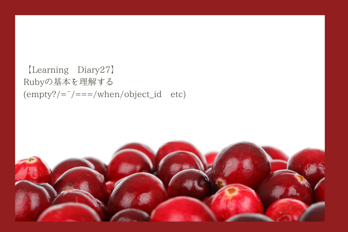 【Learning Diary27】Rubyの基本を理解する(empty?/=~/===/when/object_id etc)